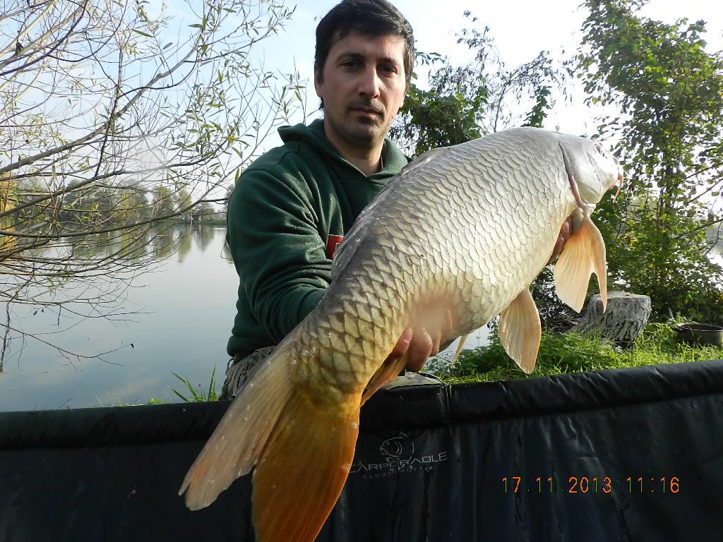 15 noiembrie 2013 - dscn1827.JPG